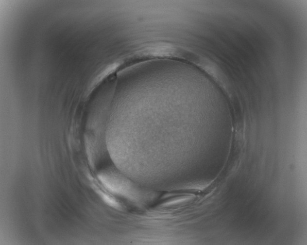 X0000081310397200701181907