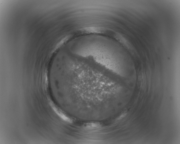 X0000081310398200701181907