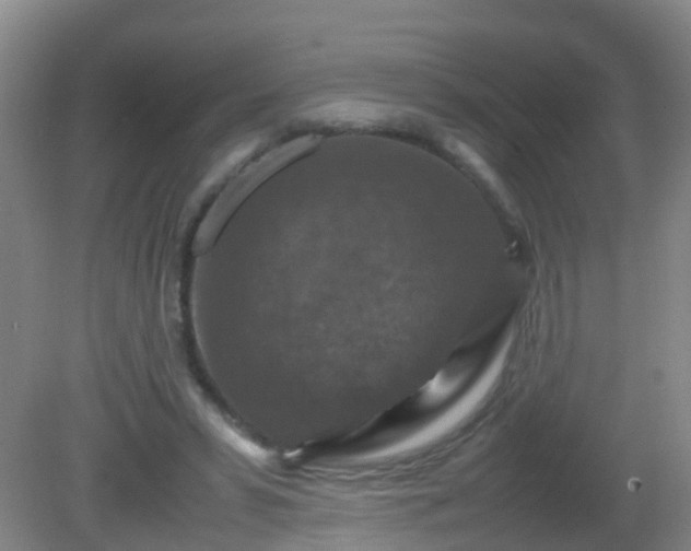 X0000081310399200701181907