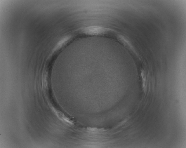 X0000081310400200701181907