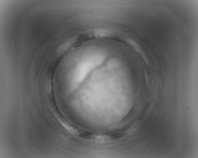 X0000081310401200701181907