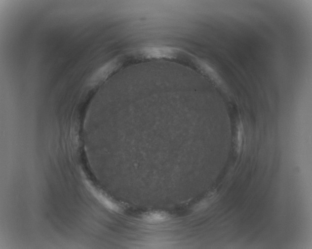 X0000081310402200701181907