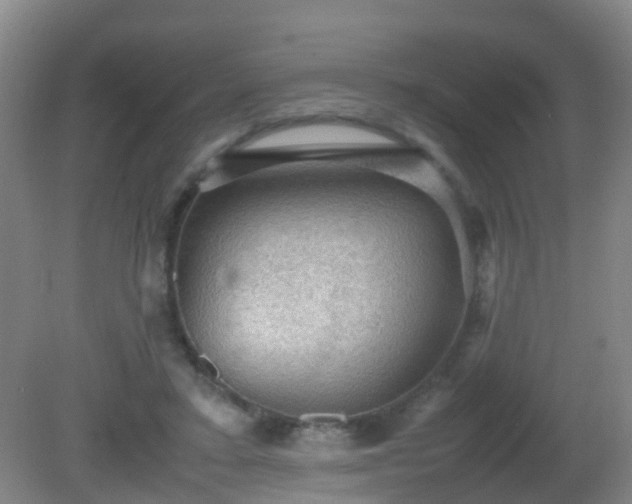 X0000081310403200701181907