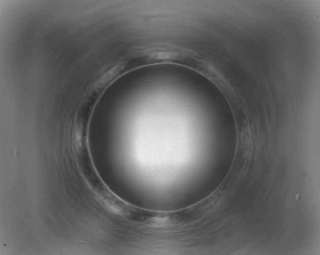 X0000081310406200701181907