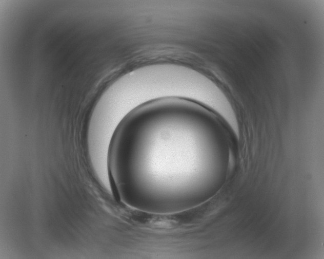 X0000081310407200701181907