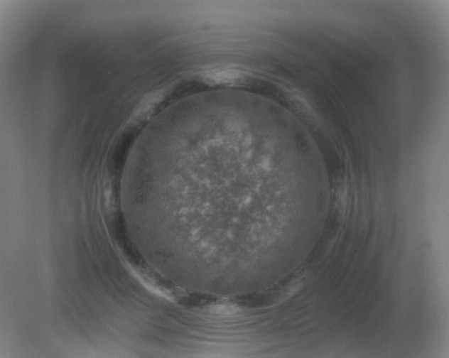 X0000081310408200701181907