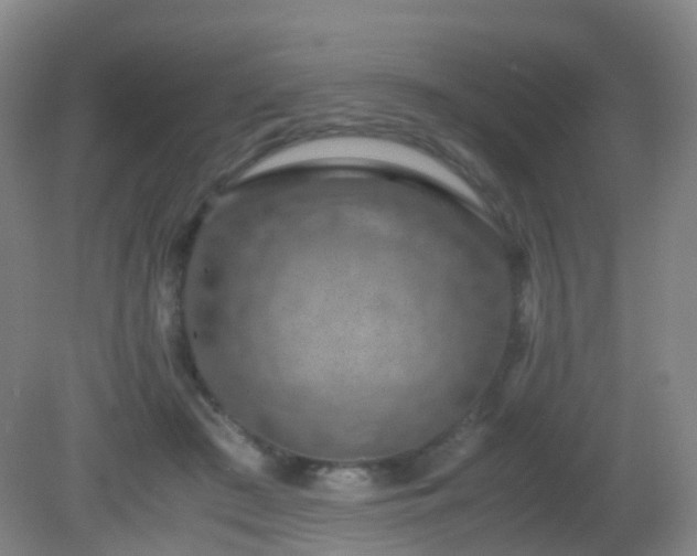 X0000081310409200701181907