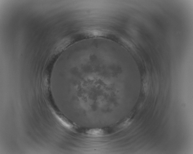 X0000081310410200701181907