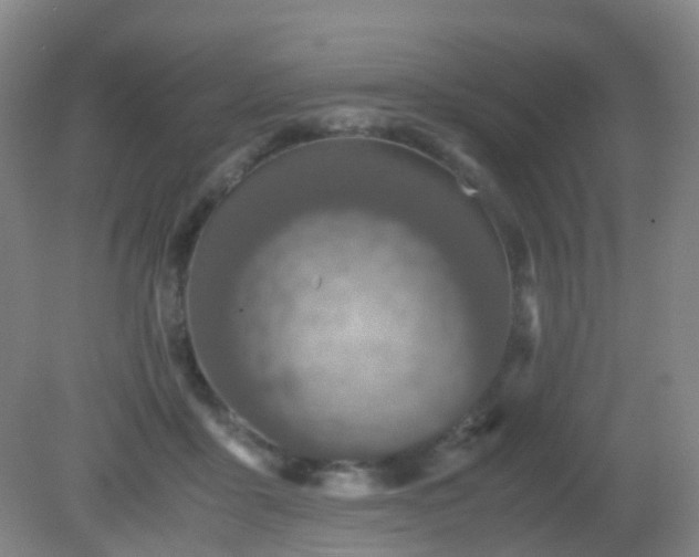 X0000081310411200701181907