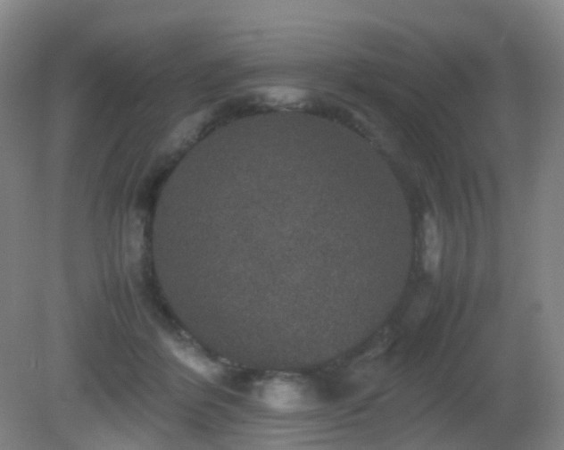 X0000081310412200701181907