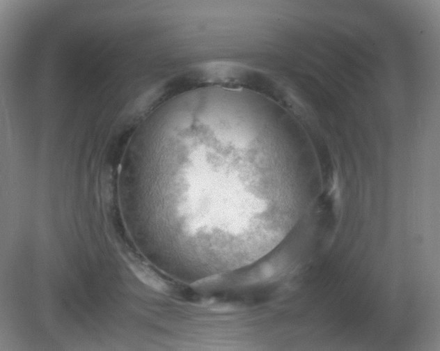 X0000081310413200701181907