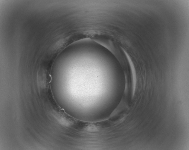 X0000081310416200701181907