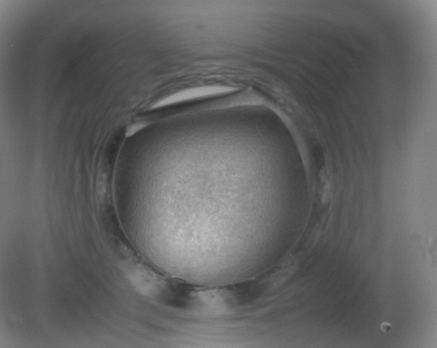 X0000081310417200701181907