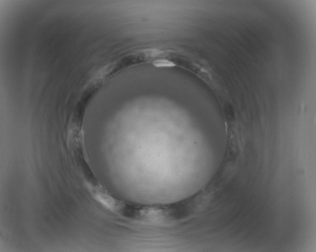 X0000081310419200701181907