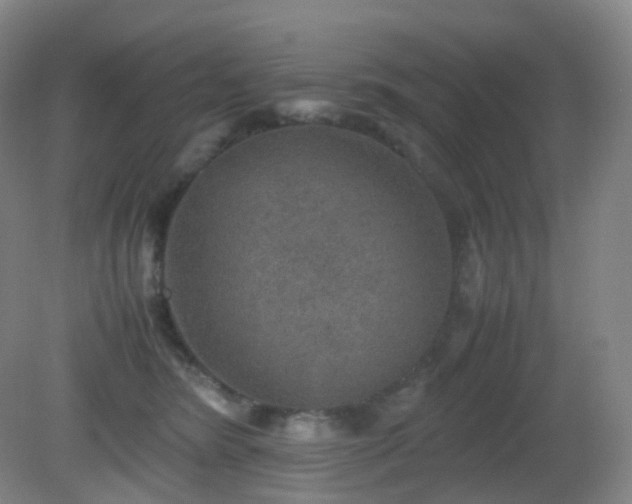 X0000081310420200701181907