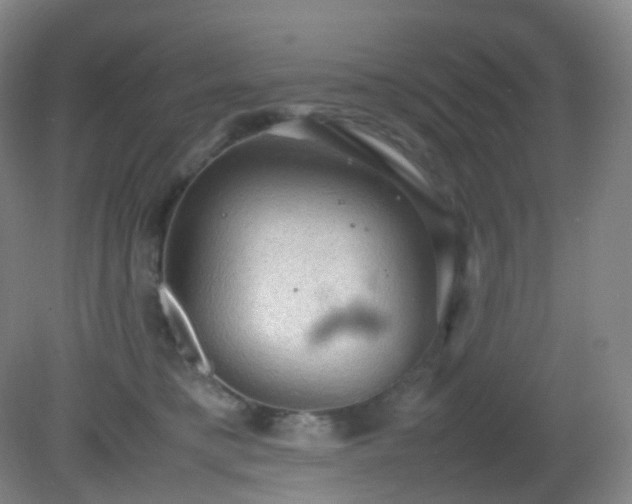 X0000081310421200701181907