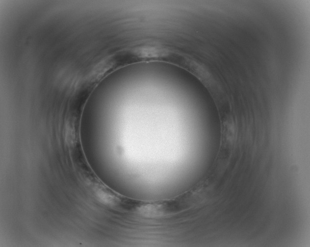 X0000081310422200701181907