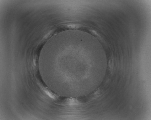 X0000081310424200701181907