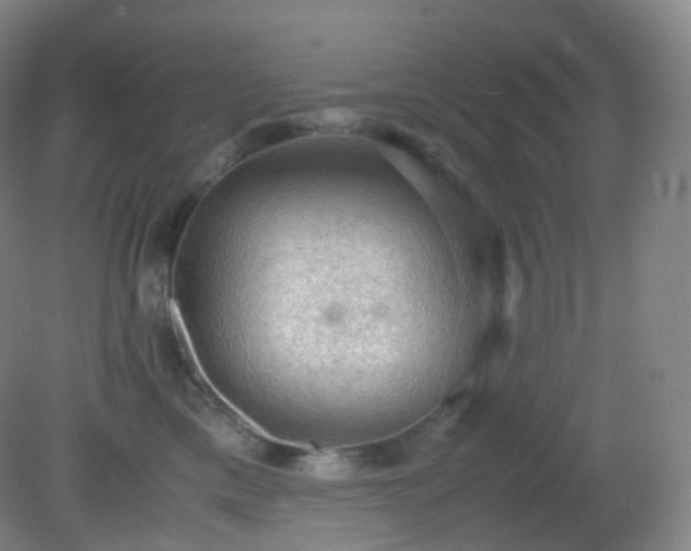 X0000081310425200701181907