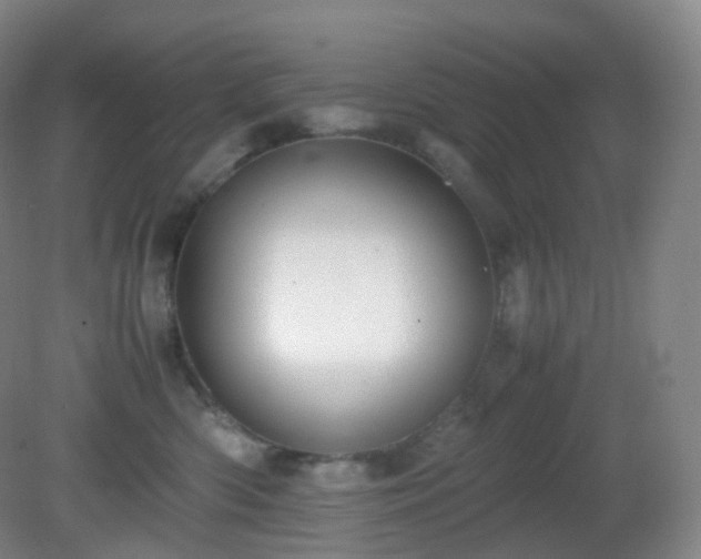 X0000081310426200701181907