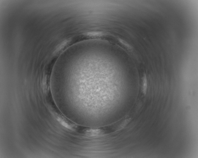 X0000081310428200701181907