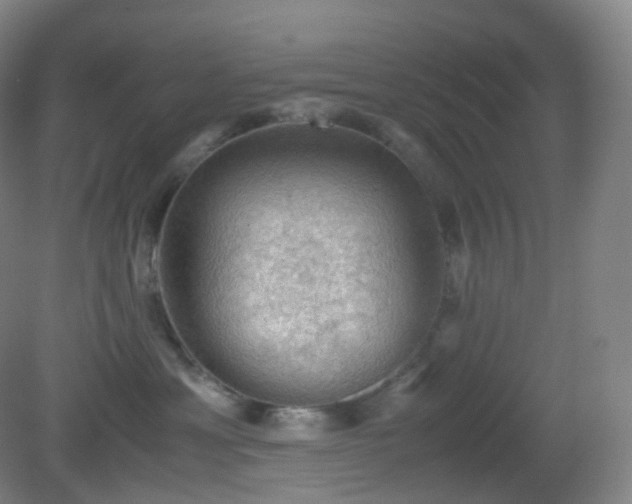 X0000081310429200701181907