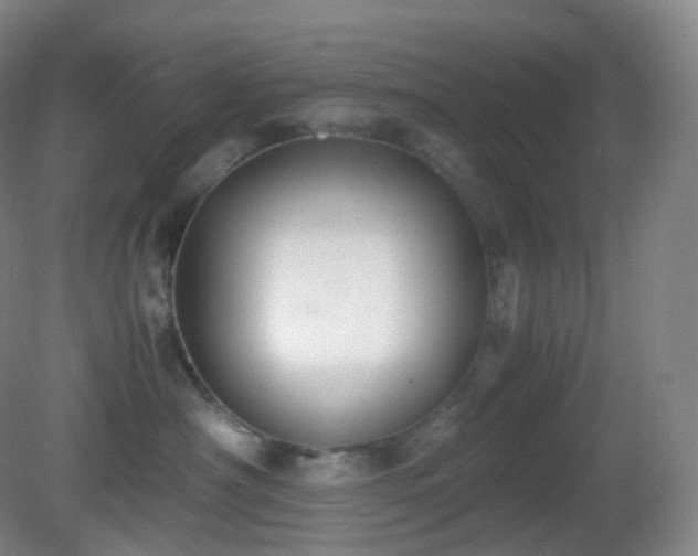 X0000081310430200701181907