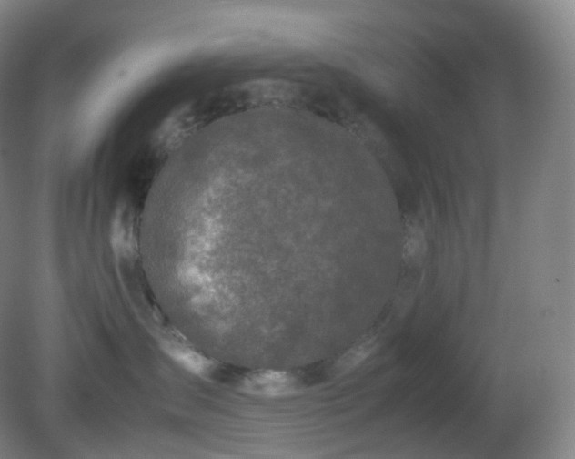 X0000081310431200701181907