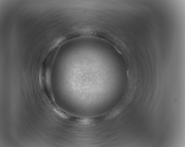 X0000081310432200701181907