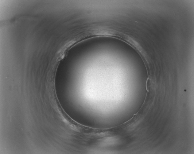 X0000081310433200701181906