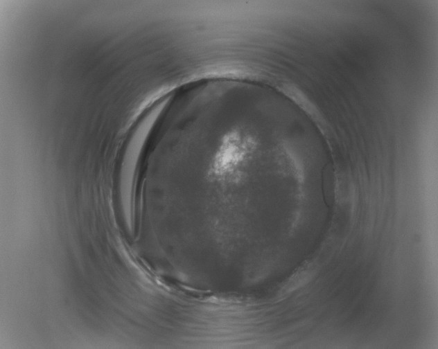 X0000081310434200701181906