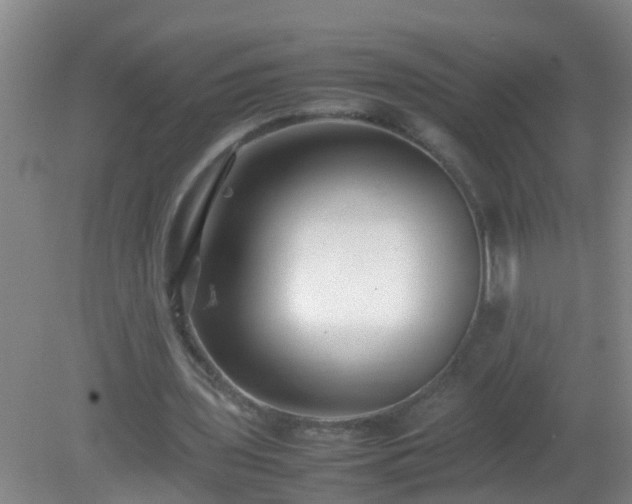 X0000081310435200701181906