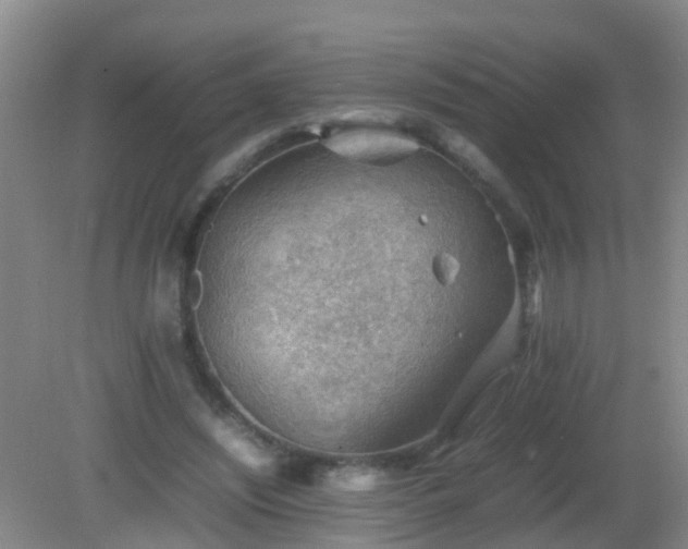 X0000081310444200701181906