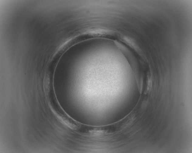 X0000081310448200701181906