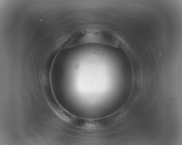 X0000081310455200701181906