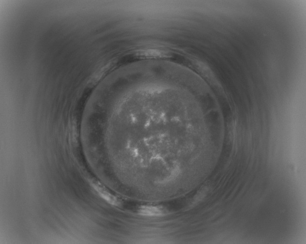 X0000081310457200701181906