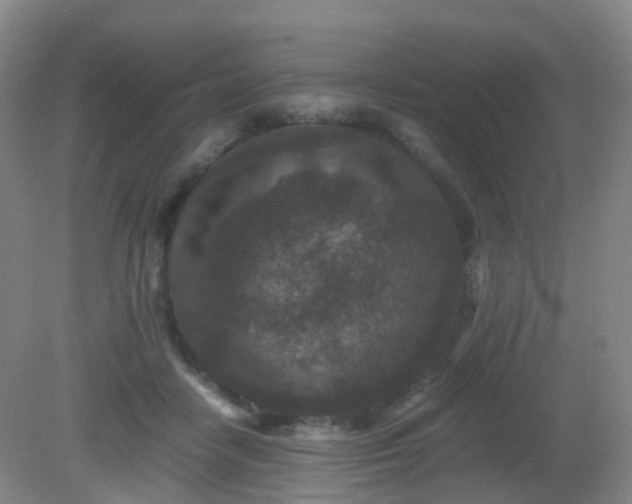 X0000081310458200701181906
