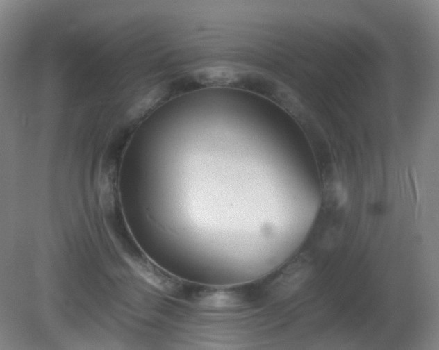X0000081310460200701181906