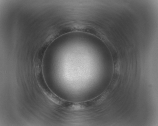 X0000081310464200701181907