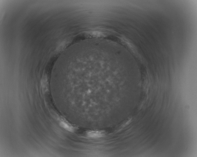 X0000081310465200701181907