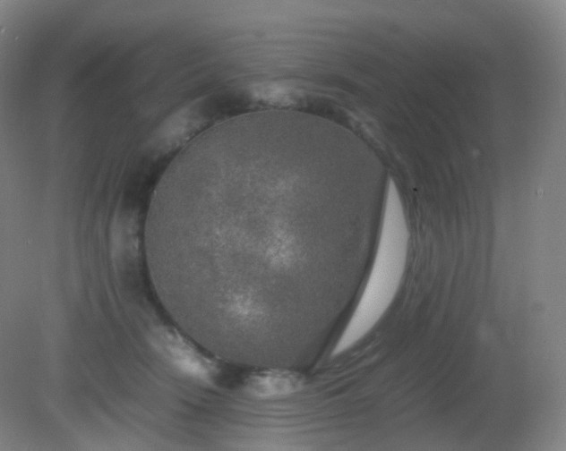 X0000081310466200701181907