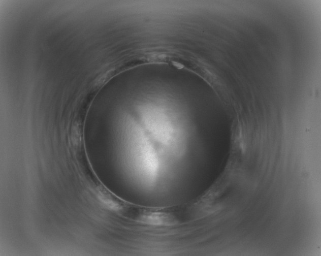 X0000081310467200701181907