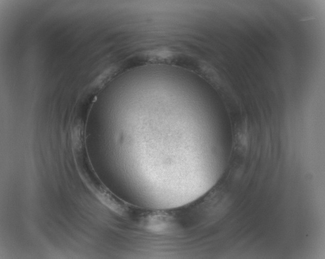 X0000081310468200701181907