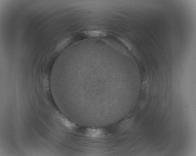 X0000081310469200701181907