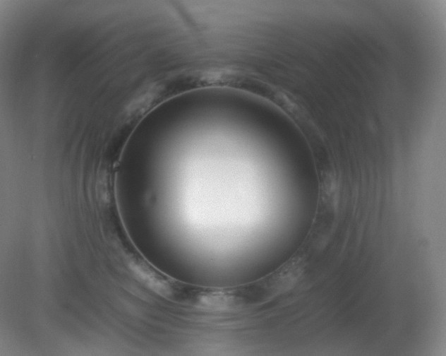 X0000081310470200701181907