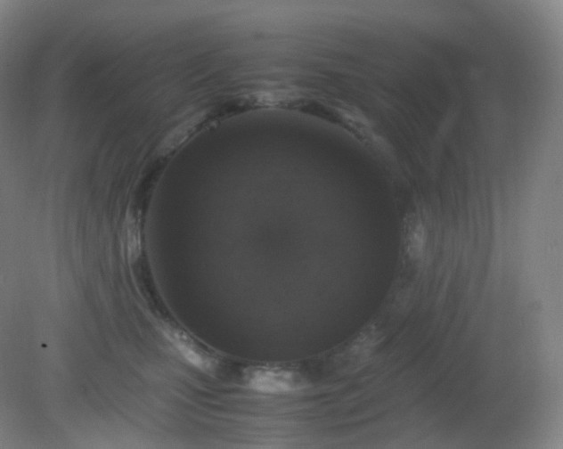 X0000081310471200701181907