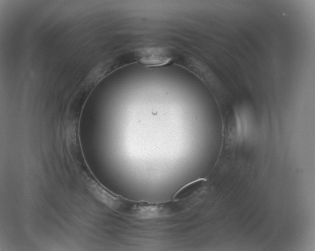 X0000081310473200701181907