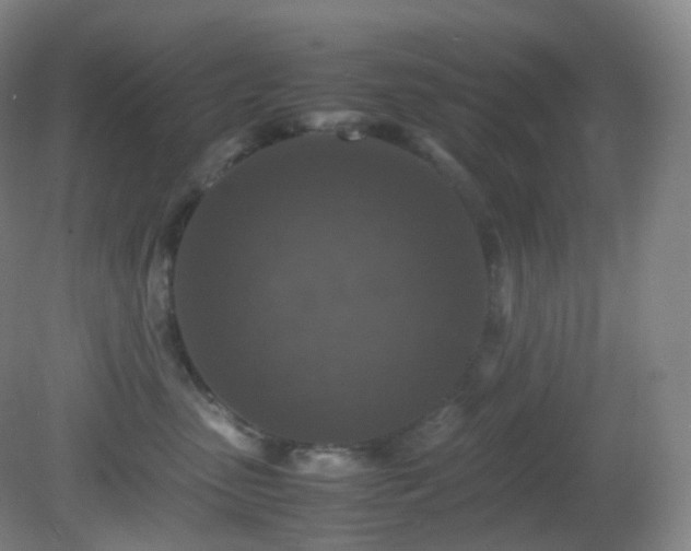 X0000081310475200701181907