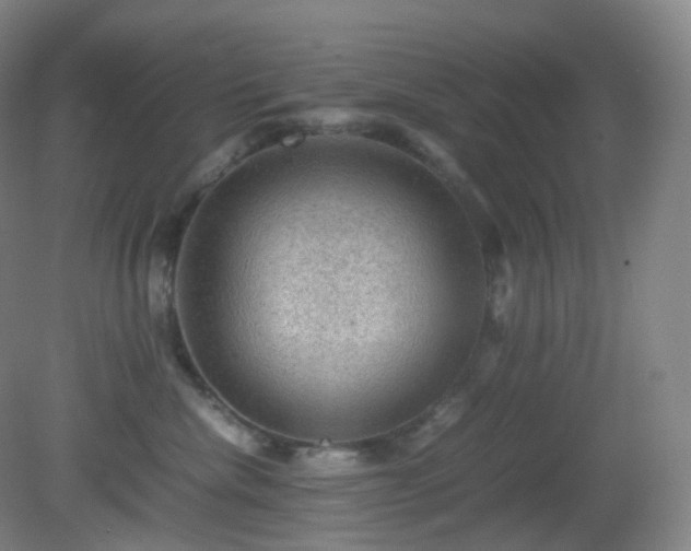 X0000081310476200701181907