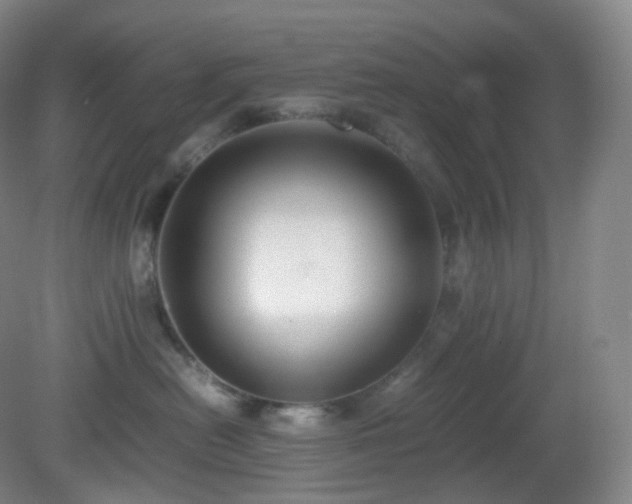 X0000081310478200701181907